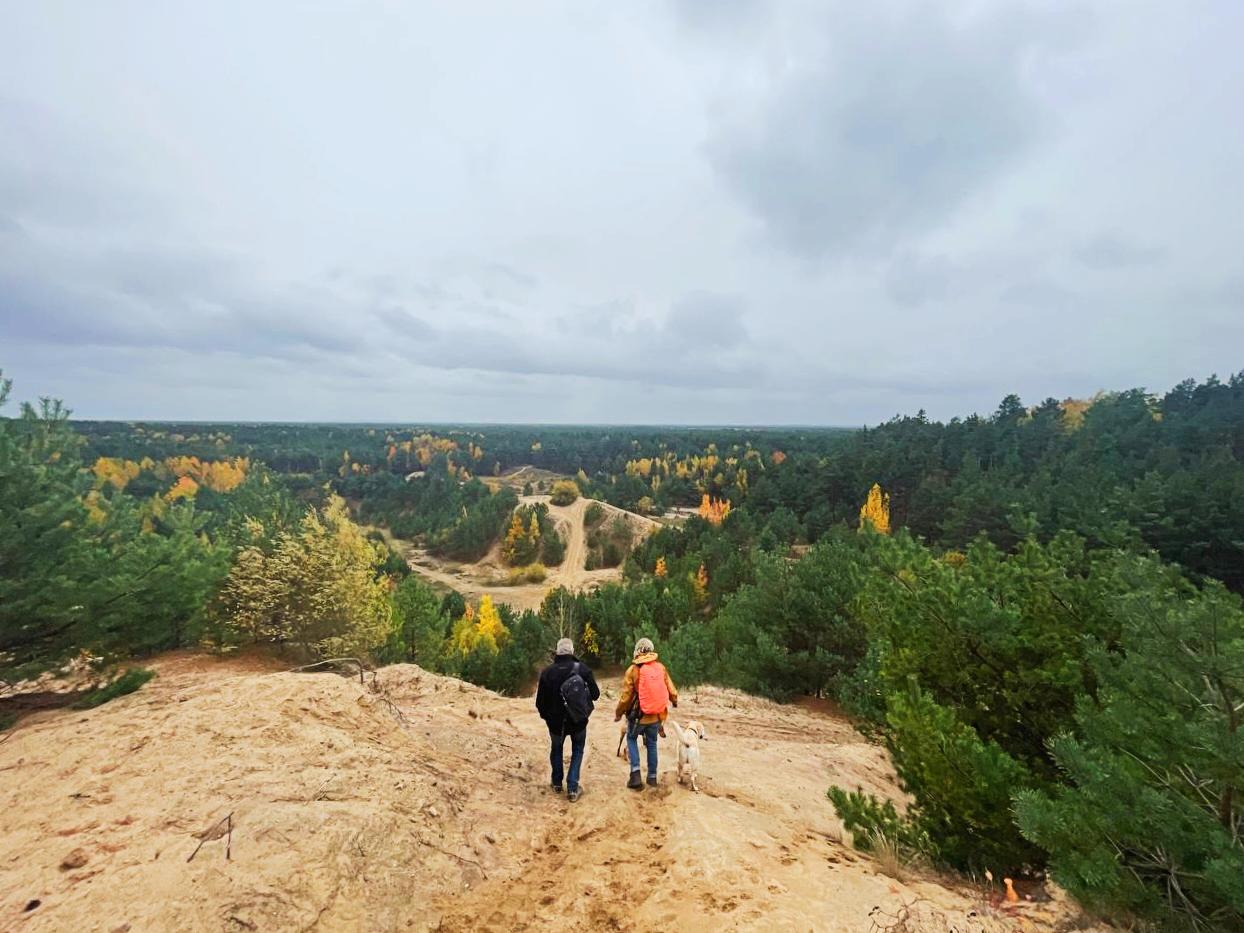Two hikers and a dog descending a sandy trail toward an autumn forest